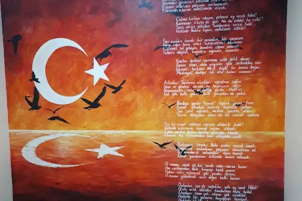 Sakarya Anka Yıldız Spor Yüzme Kursu - Resim 8