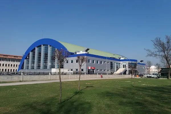Sakarya Anka Yıldız Spor Yüzme Kursu - Resim 5
