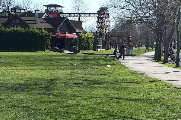 Sakarya Anka Yıldız Spor Yüzme Kursu - Resim 10