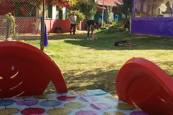 Yeşil Doğa Tenis HURŞİT NELİK TENİS - Resim 16