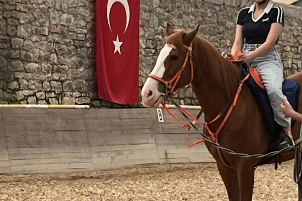 Ballıca atlı spor klübü - Resim 12
