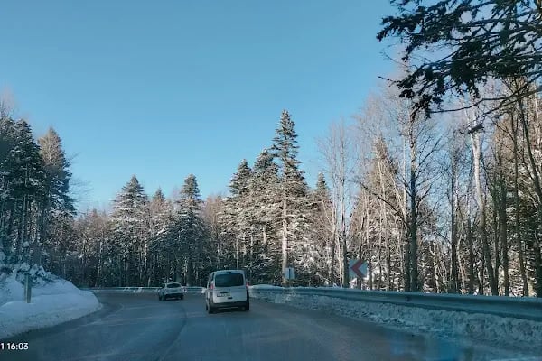 Uludağ Sarıalan Orman Köşkleri Resepsiyonu - Resim 5