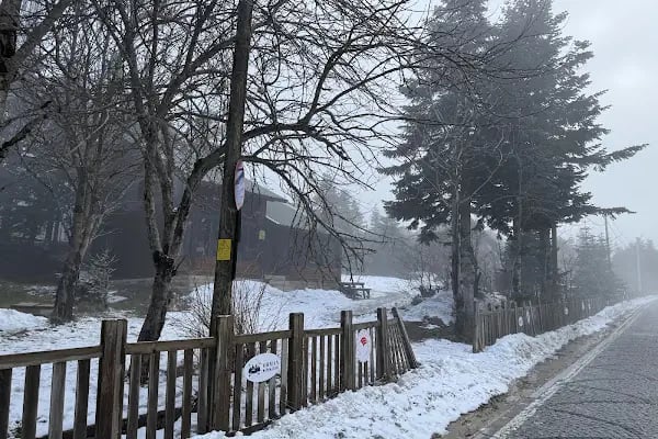 Uludağ Sarıalan Orman Köşkleri Resepsiyonu - Resim 6
