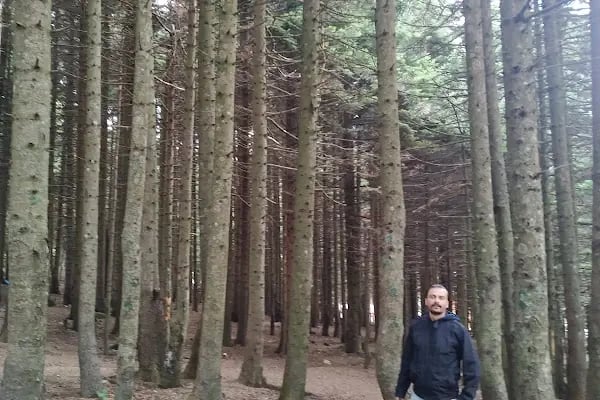 Uludağ Sarıalan Orman Köşkleri Resepsiyonu - Resim 10