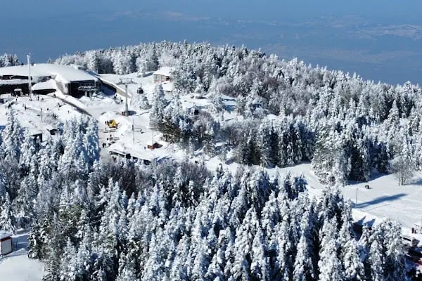 Uludağ Sarıalan Orman Köşkleri Resepsiyonu - Resim 19
