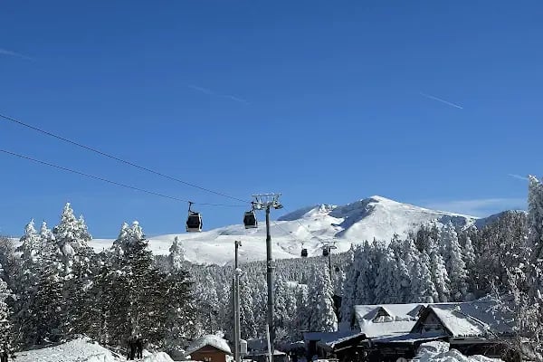 Uludağ Sarıalan Orman Köşkleri Resepsiyonu - Resim 9