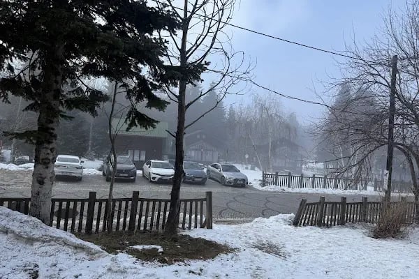 Uludağ Sarıalan Orman Köşkleri Resepsiyonu - Resim 18