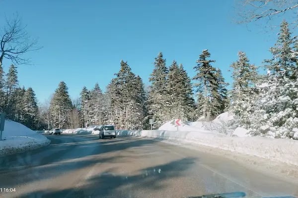 Uludağ Sarıalan Orman Köşkleri Resepsiyonu - Resim 12