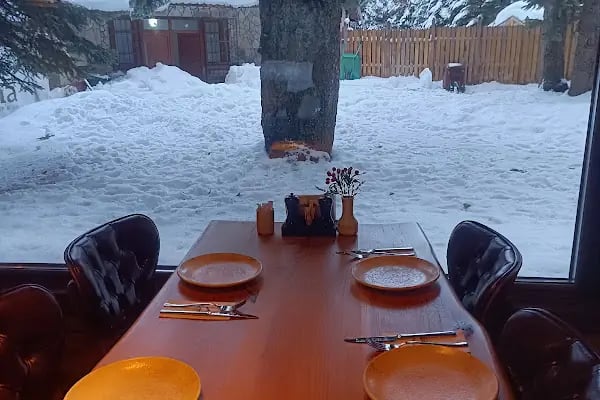 Uludağ Sarıalan Orman Köşkleri Resepsiyonu - Resim 7