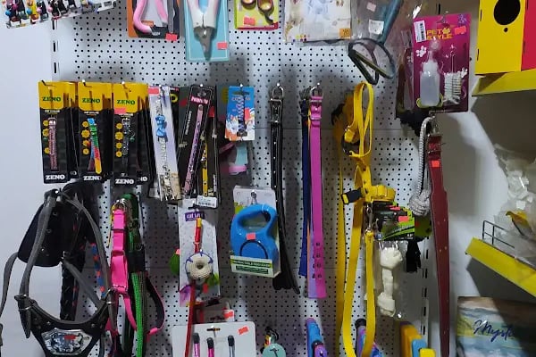 Petcobar Petshop - Resim 16
