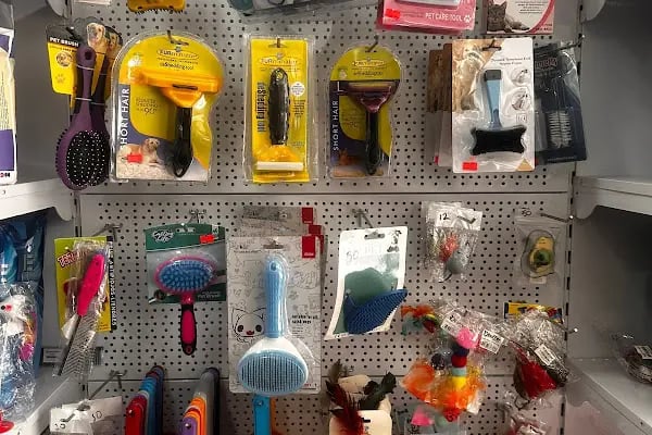 Petcobar Petshop - Resim 4
