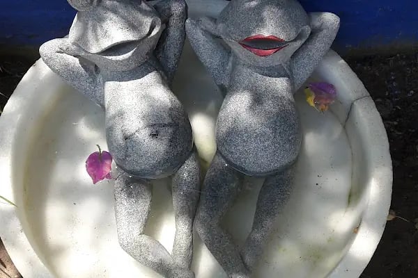 LİMON GÜMÜŞLÜK RESTAURANT - Resim 14