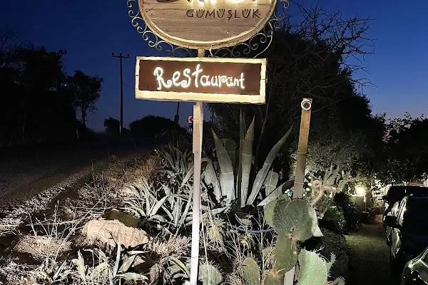 LİMON GÜMÜŞLÜK RESTAURANT - Resim 8