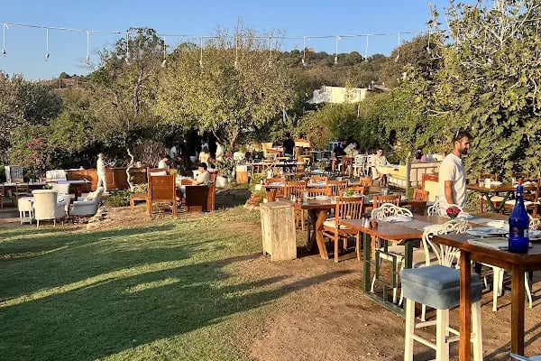 LİMON GÜMÜŞLÜK RESTAURANT - Resim 5