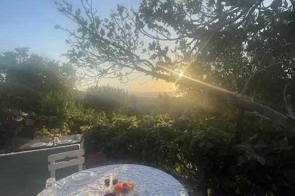 LİMON GÜMÜŞLÜK RESTAURANT - Resim 4