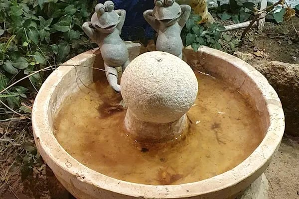 LİMON GÜMÜŞLÜK RESTAURANT - Resim 18