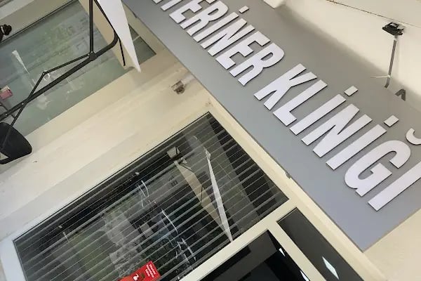 Borvet Veteriner Kliniği - Resim 11