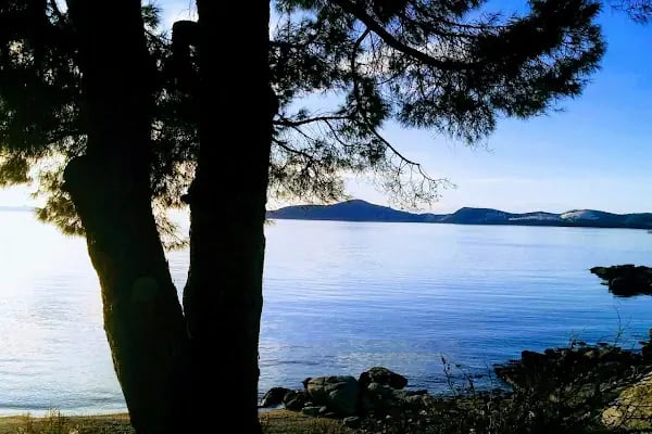 Mavi Tatil Köyü - Resim 12