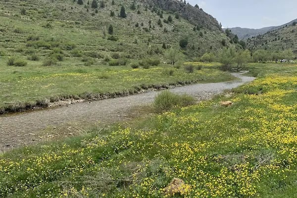 Eğri Göl - Resim 16