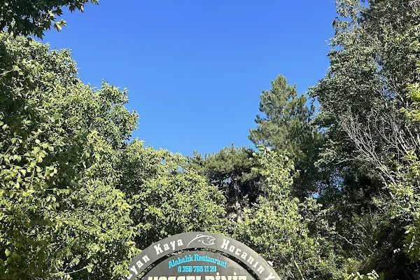 Aglayan Kaya şelalesi hocanın yeri - Resim 5