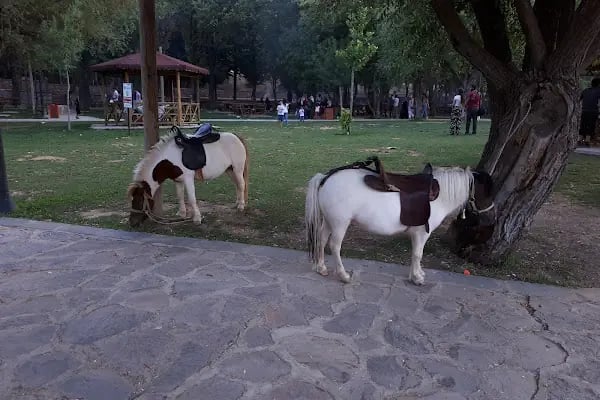 Orduzu Tabiat Parkı - Resim 14