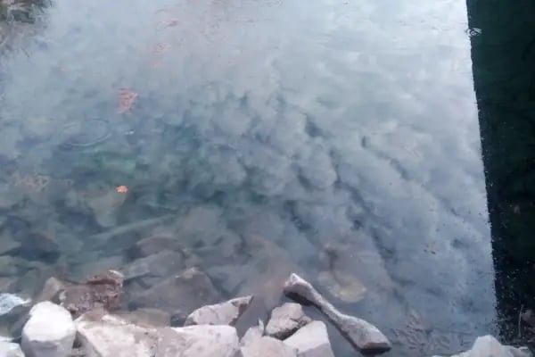 Orduzu Tabiat Parkı - Resim 12