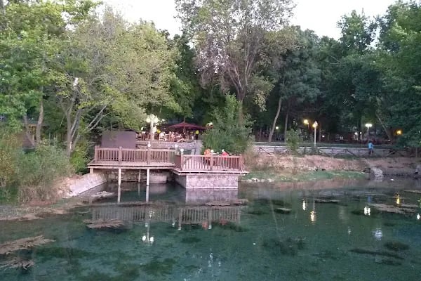 Orduzu Tabiat Parkı - Resim 8