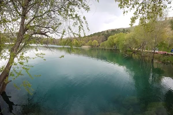 Orduzu Tabiat Parkı - Resim 7