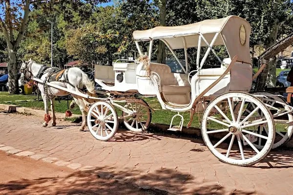 Orduzu Tabiat Parkı - Resim 18