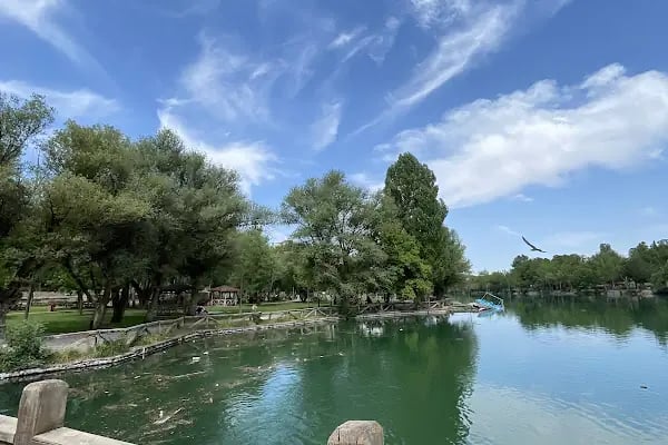 Orduzu Tabiat Parkı - Resim 2