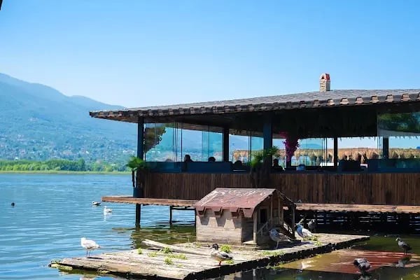 Kartepe Botanic Wakepark - Resim 9