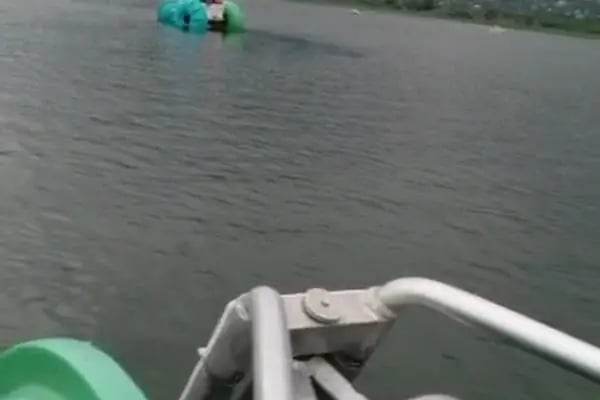 Kartepe Botanic Wakepark - Resim 5