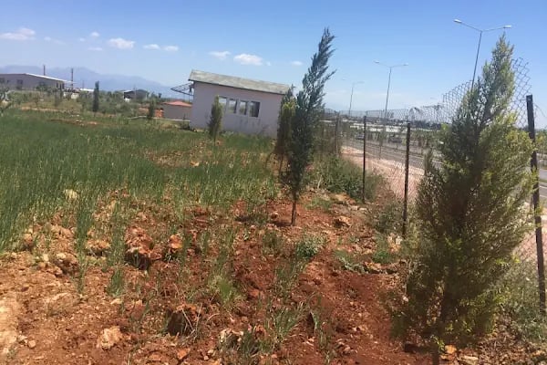 Gerçek Dostlar Emlak - Resim 16