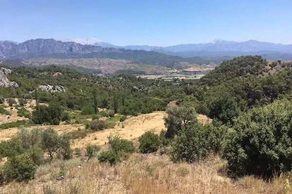 Gerçek Dostlar Emlak - Resim 5