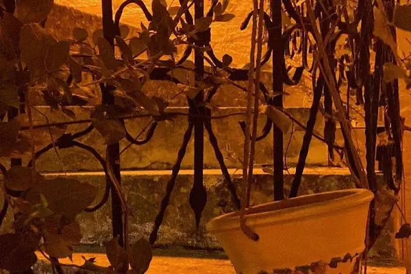Lütfü Bey Konağı Butik Otel - Resim 17