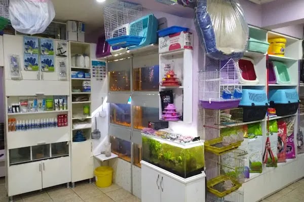 Kerem Akvaryum Petshop Kus Balik Galerisi - Resim 3