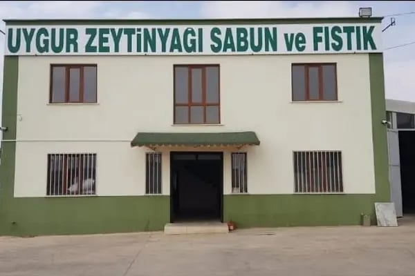 UYGUR Zeytinyağı Sabun Gıda İnş. Ve Tarım Ür. İhr. İth. Tic. Ltd. Şti. - Resim 8