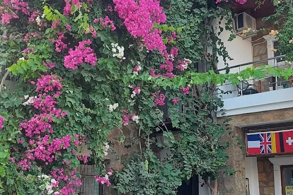 Four Seas Hotel - Resim 3