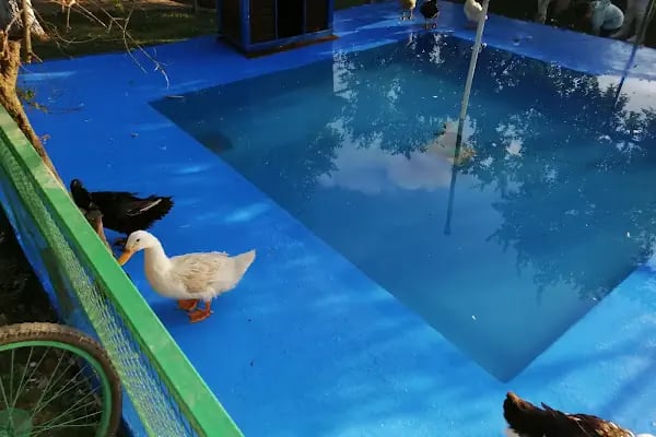 Kuzey Garden Düğün Davet Kır Mekanları - Resim 20