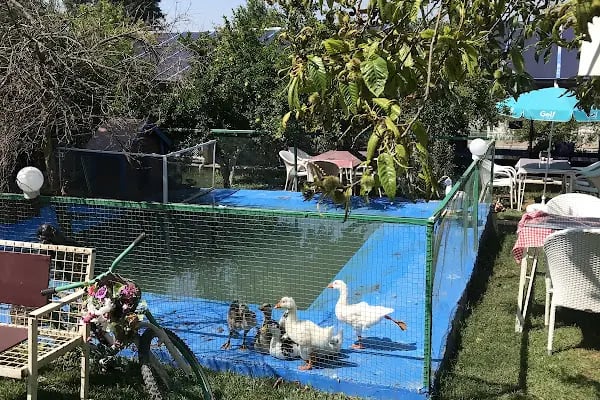 Kuzey Garden Düğün Davet Kır Mekanları - Resim 18