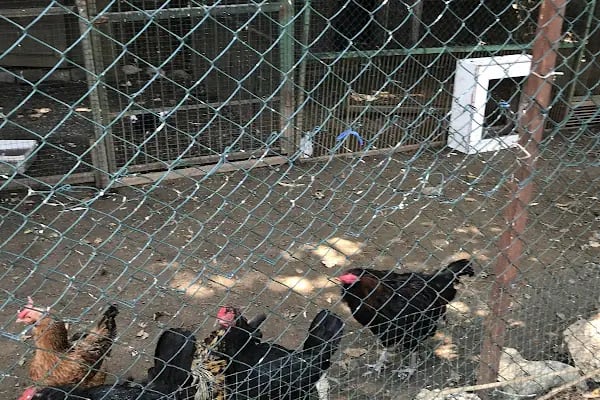 Kuzey Garden Düğün Davet Kır Mekanları - Resim 9
