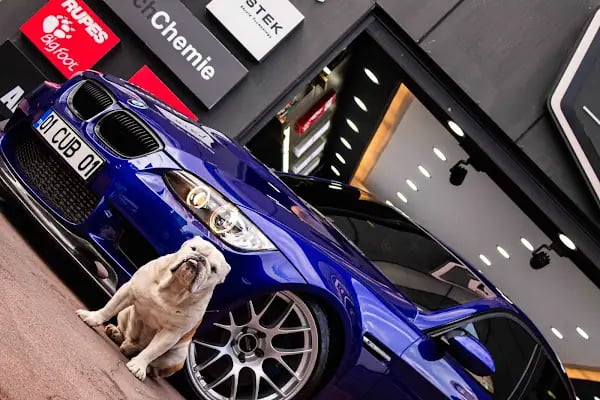 BAD | Premium Car Detailing - Resim 8