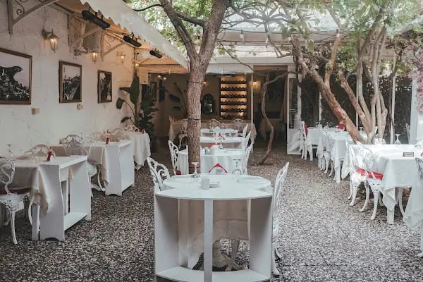 Secret Garden Restaurant Büyükada - Resim 2