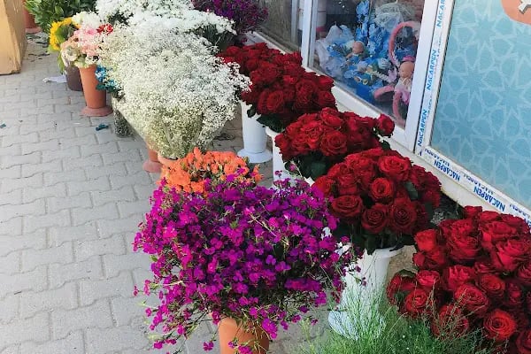 AFŞİN GÜNEŞ ÇİÇEKÇİLİK - www.afsincicekci.com - Resim 10