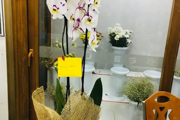 AFŞİN GÜNEŞ ÇİÇEKÇİLİK - www.afsincicekci.com - Resim 2