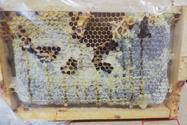 (DURANLAR FİNİKE)GÜNEY TOROSLAR süt ürünleri ve tavuk şarkuteri - Resim 15