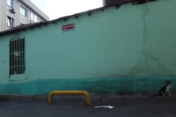 Kılıç Ali Paşa Türbesi - Resim 15