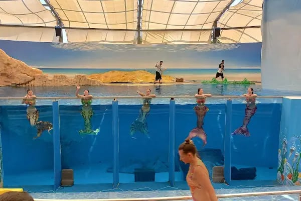 Wet'n Wild Park - Resim 11