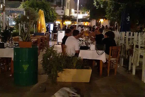 Mavi Bar - Resim 16