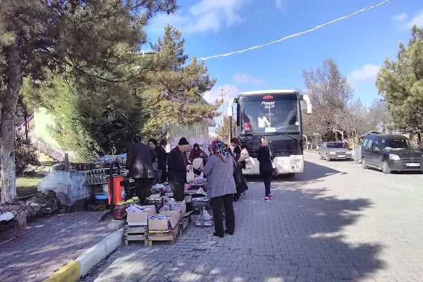 Alanya Sefer Oto Kiralama - Resim 4